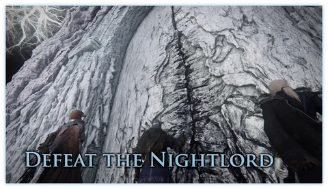 Elden Ring Nightreign for PlayStation 5 EU