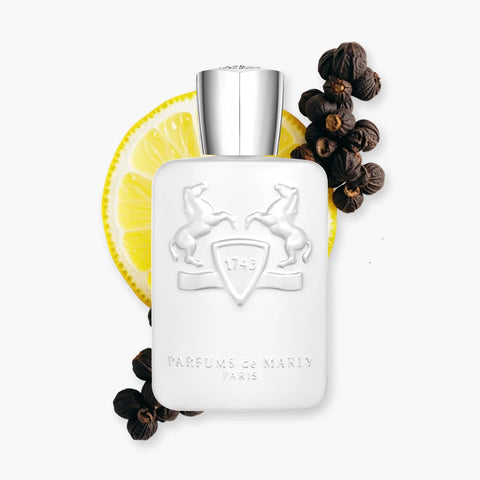 Marly Galloway EDP For Unisex - 125 ml