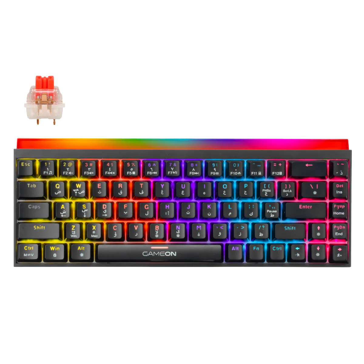 GAMEON PRIMEX Series GO-MK260-RS 60% RGB Mechanical Wired Gaming Keyboard With Customization Software, Red Switch - English/Arabic