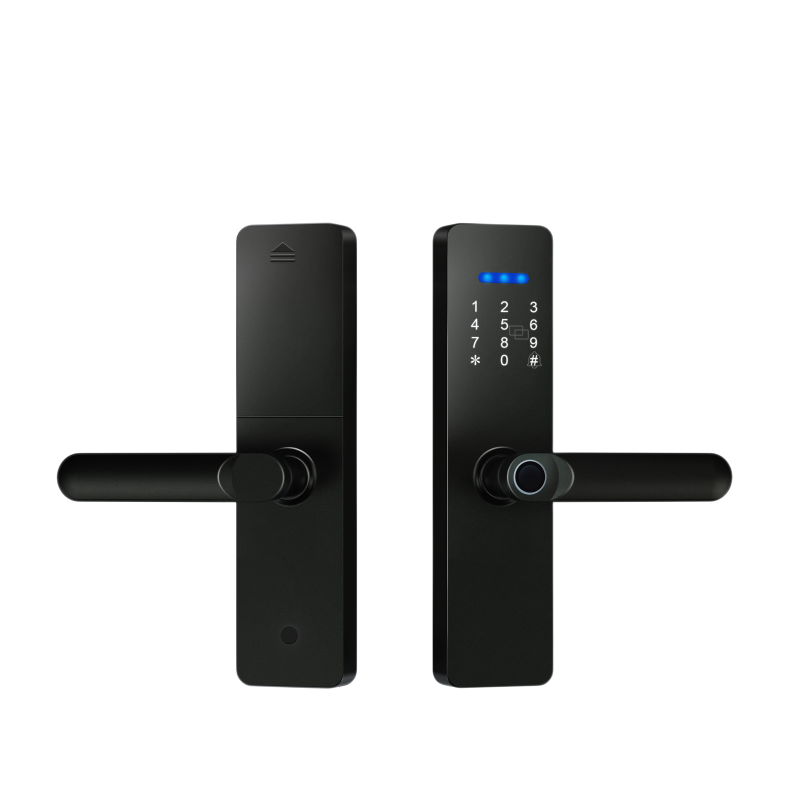 Gopeta N003, TUYA Wi-Fi Smart Lock for Wooden Doors with Fingerprint, RFID & Passcode