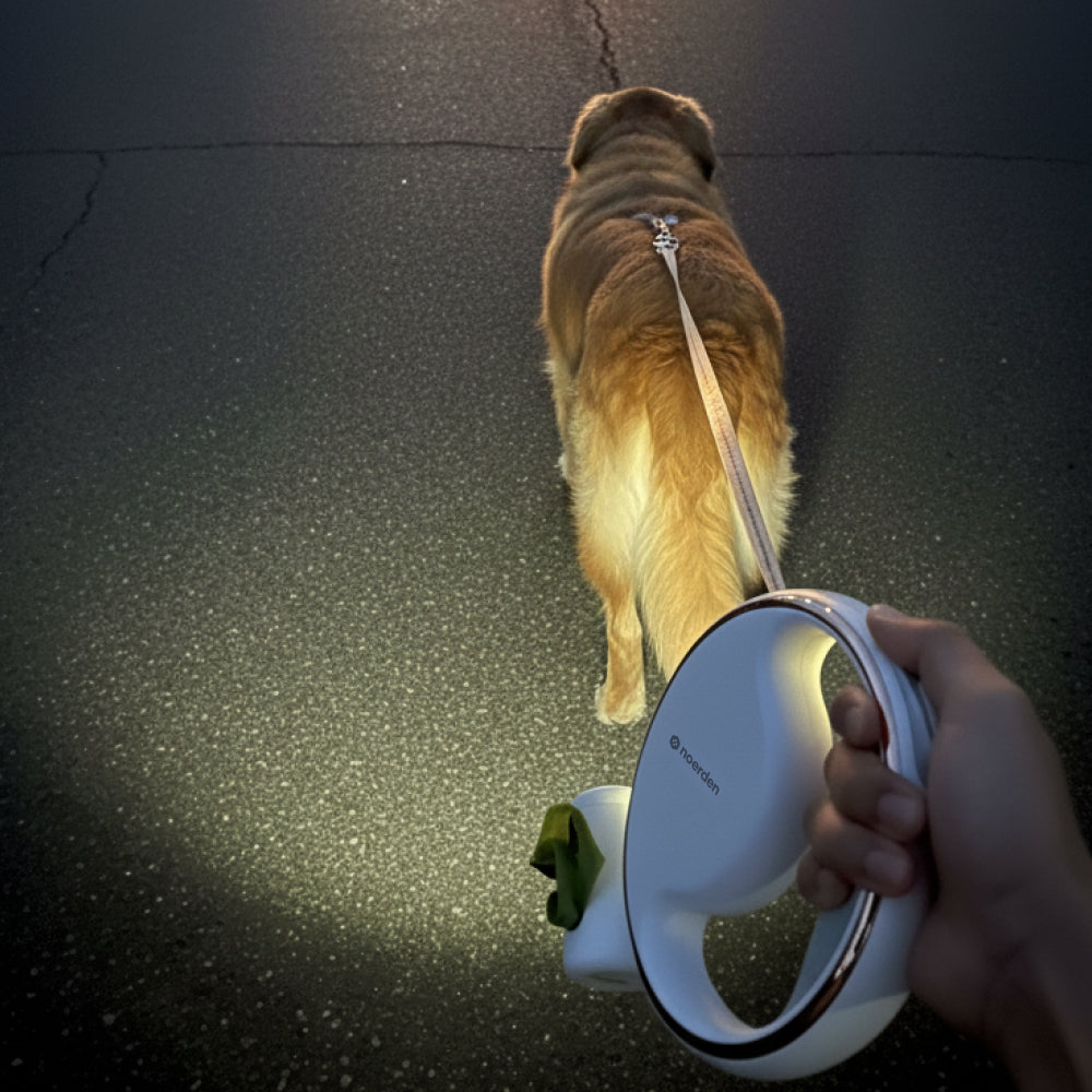 NOERDEN LumiLeash 4-in-1 Reflective Leash with LED Torch & Poop Bag Dispenser (Dogs up to 50kg)