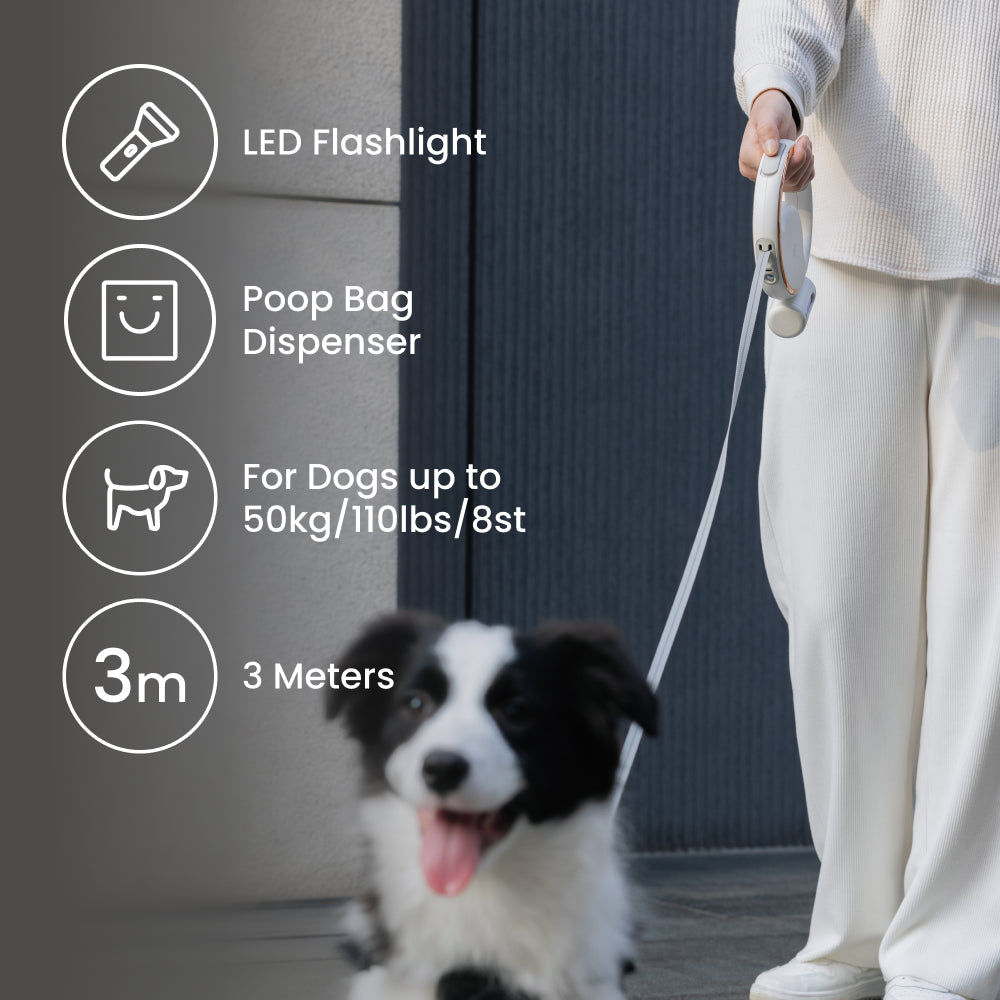 NOERDEN LumiLeash 4-in-1 Reflective Leash with LED Torch & Poop Bag Dispenser (Dogs up to 50kg)