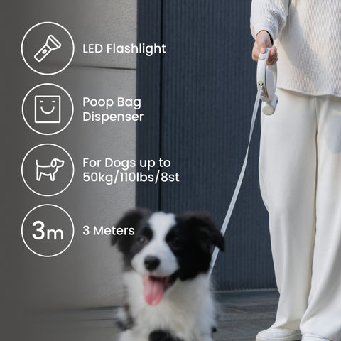 NOERDEN LumiLeash 4-in-1 Reflective Leash with LED Torch & Poop Bag Dispenser (Dogs up to 50kg)