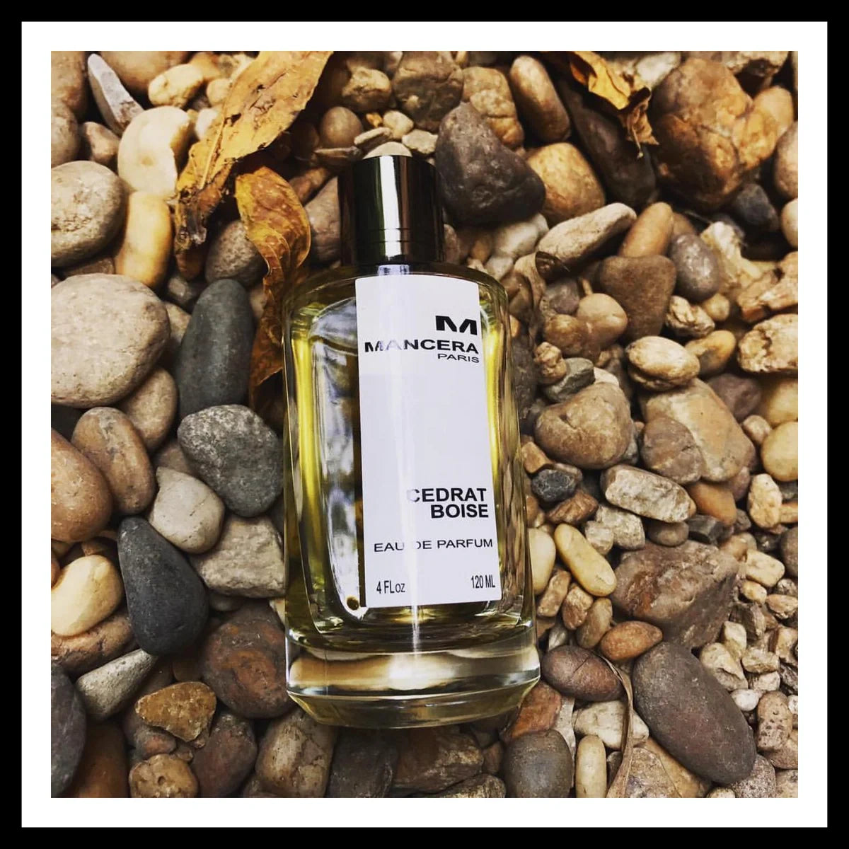 Mancera Cedrat Boise EDP For Unisex-120 ml