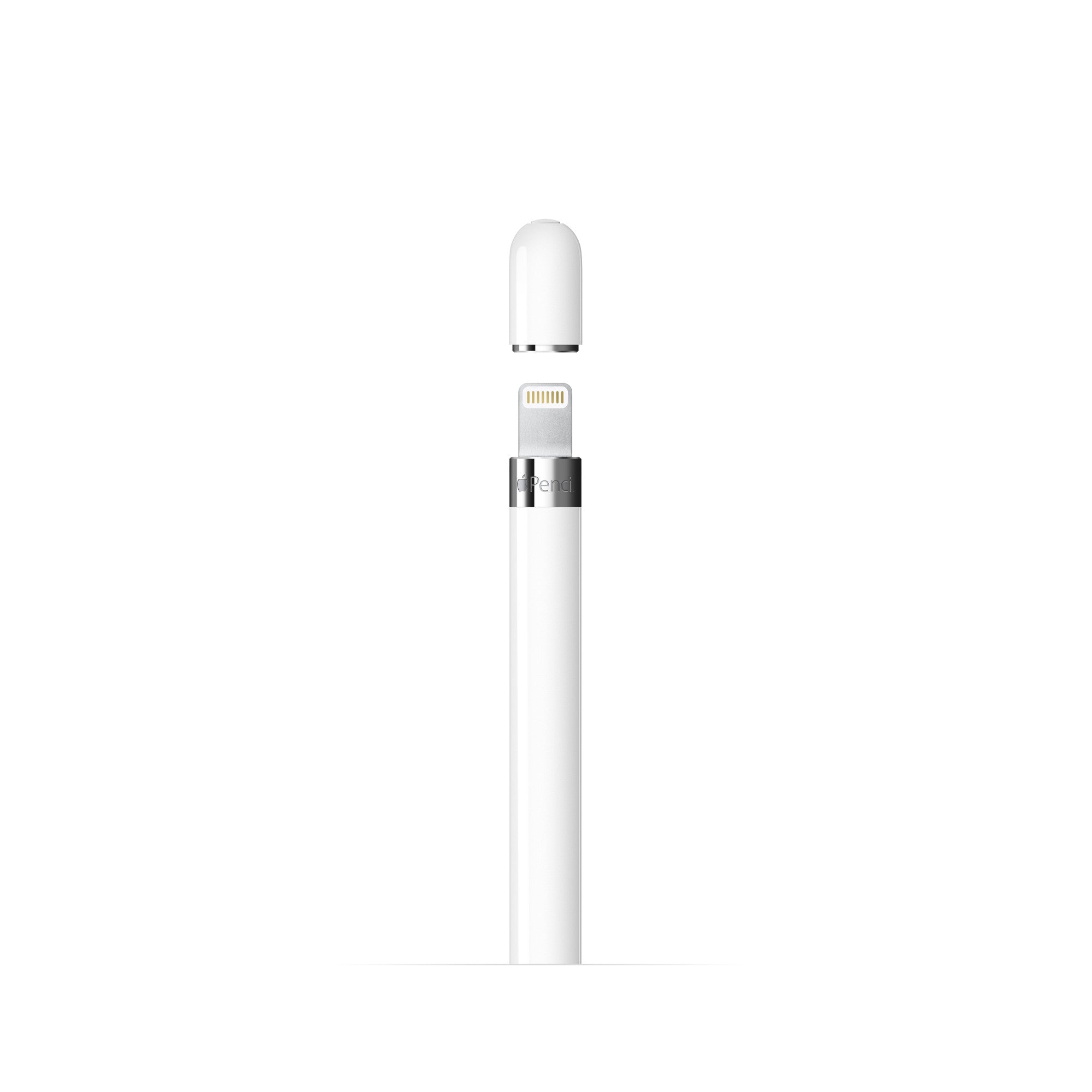 Apple A1603, Apple Pencil (1st Generation)