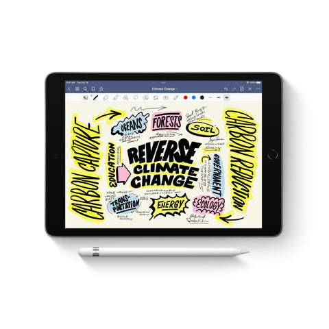 Apple A1603, Apple Pencil (1st Generation)