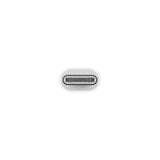 Apple A2868, USB-C to Lightning Adapter