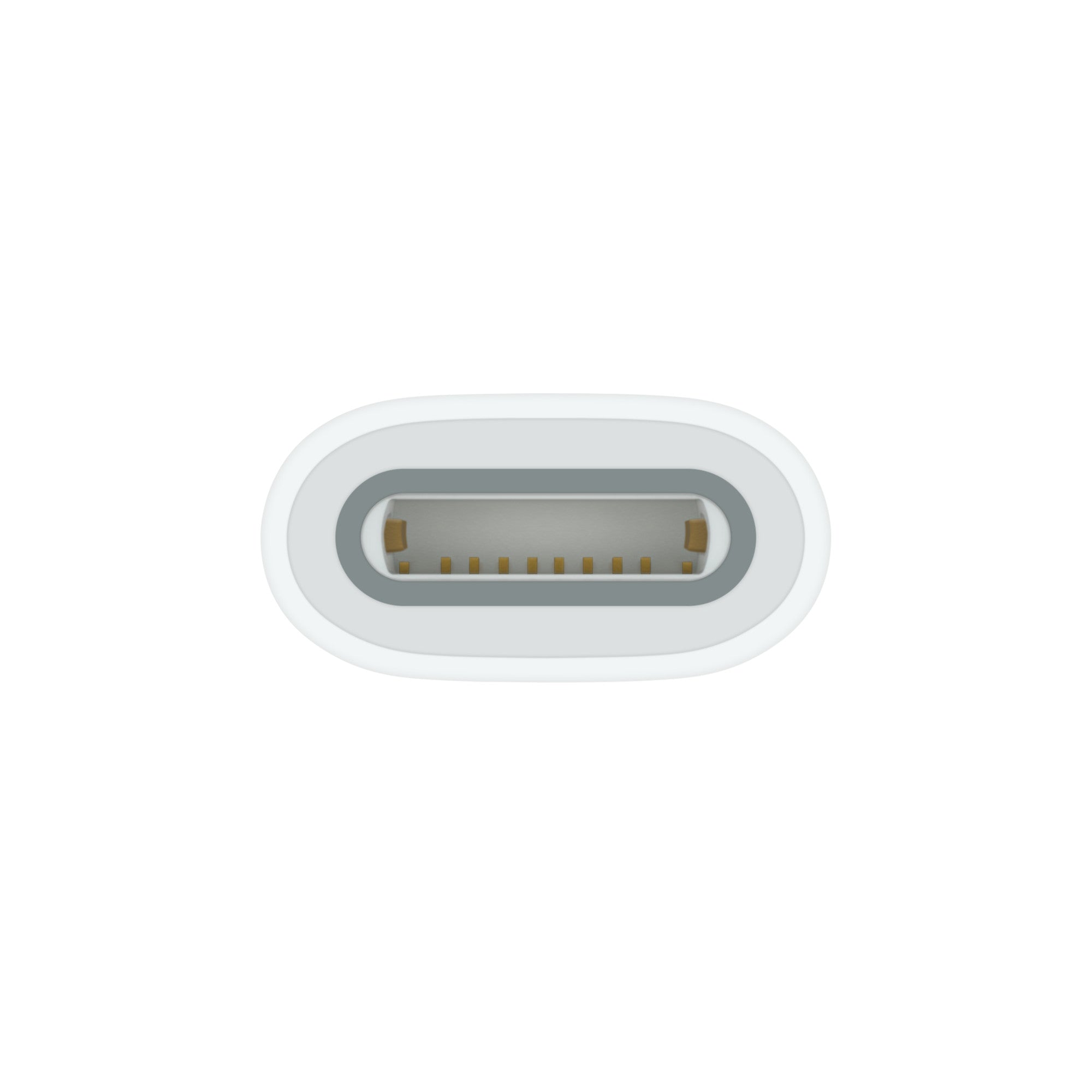 Apple A2869, USB-C to Apple Pencil Adapter