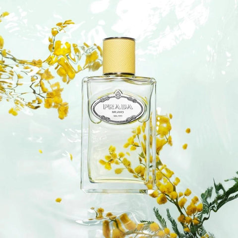 Prada Infusion de Mimosa EDP For Her - 100 Ml