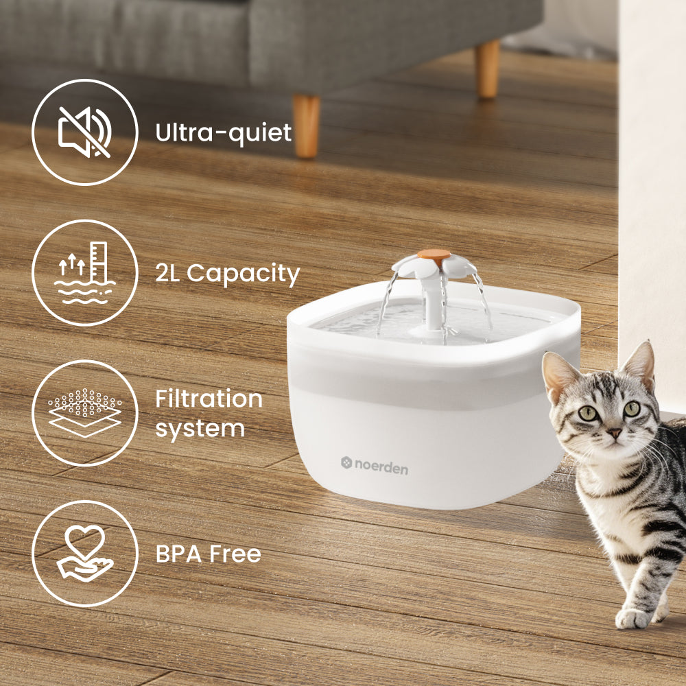 NOERDEN PawQuench Pet Water Fountain