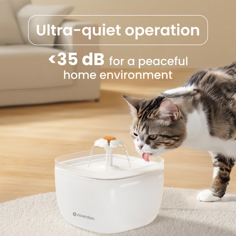 NOERDEN PawQuench Pet Water Fountain