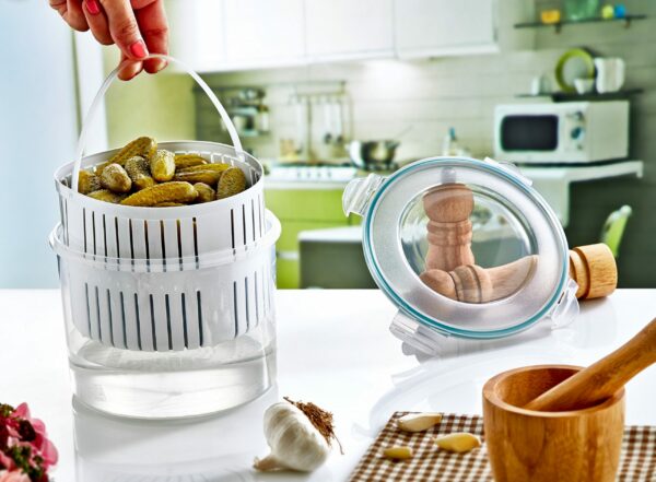 Plast ART Pickles Box