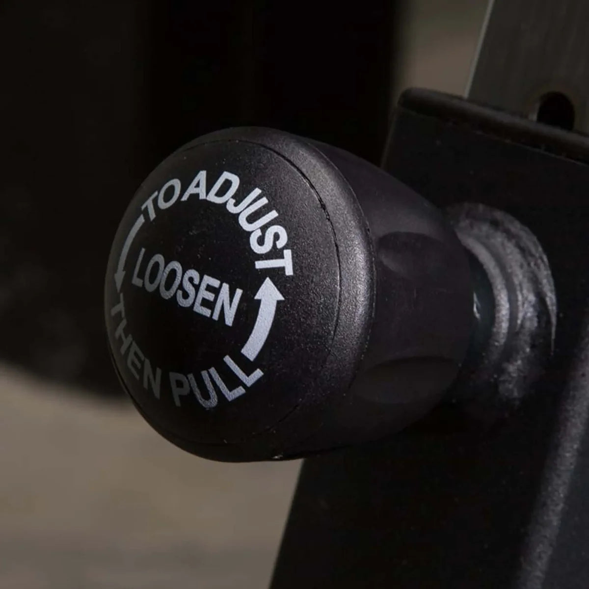 Rogue Echo Bike V3.0 – Black
