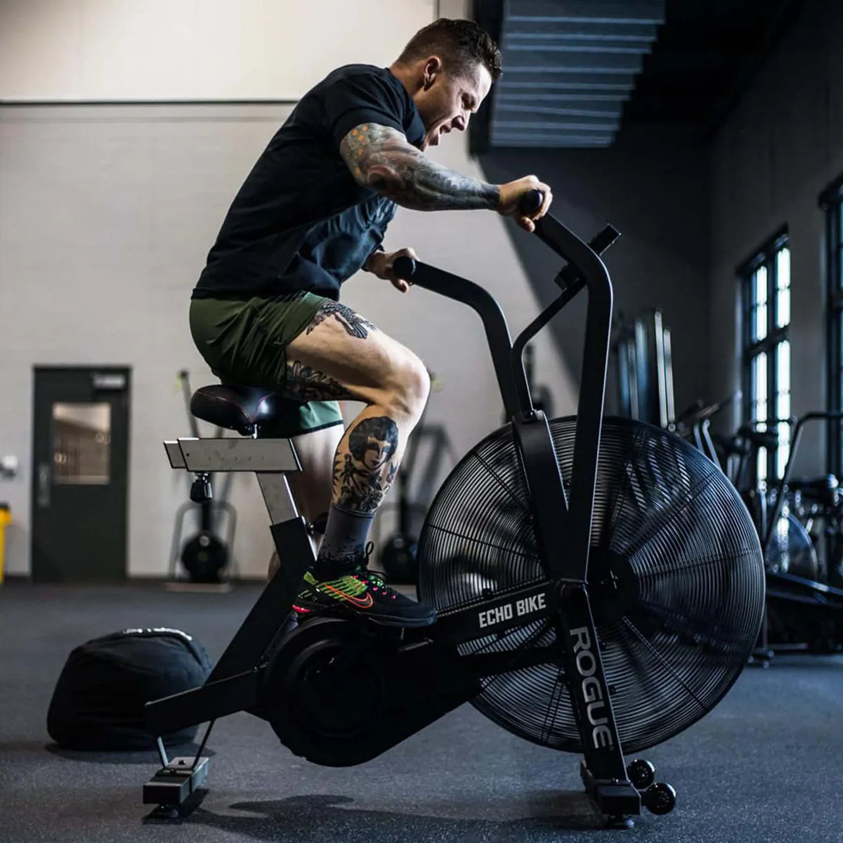 Rogue Echo Bike V3.0 – Black