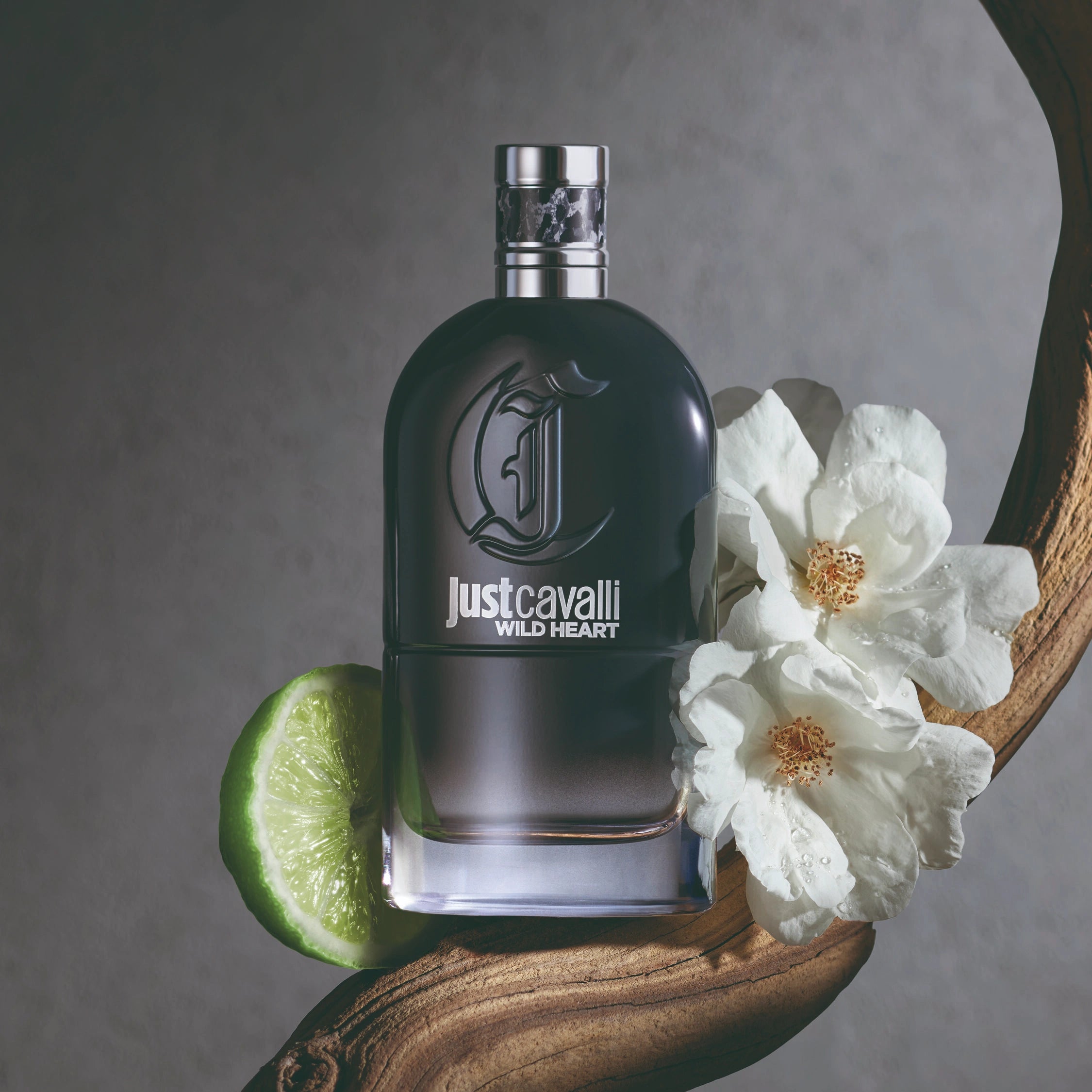 Roberto Cavalli Just Cavalli Wild Heart EDT For Him - 90 ml