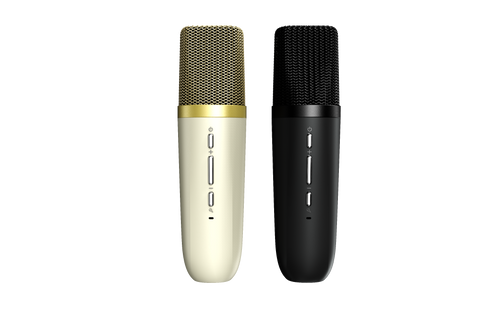 Vocalist100 Karaoke Speaker (Silver)