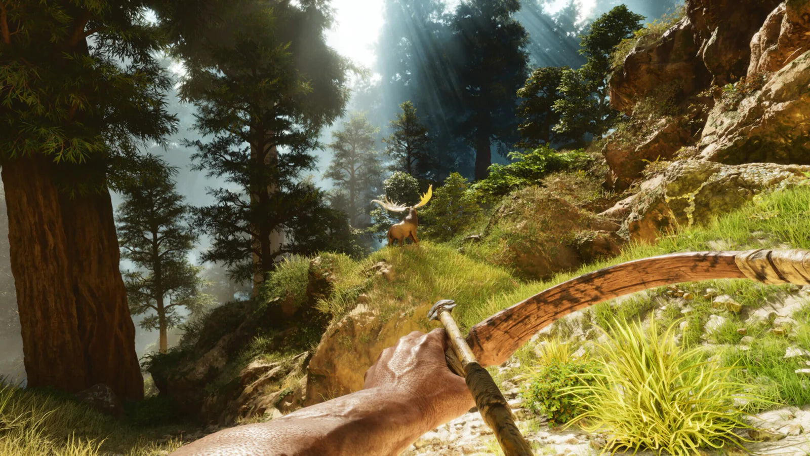 Buy Sony PS5, ARK: Survival Ascended, PlayStation 5 Online in Be3ah Kuwait