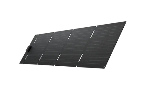 EcoFlow 60W Portable Solar Panel
