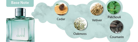 دنهيل عطر فريش أو دو تواليت للرجال - 100 مل