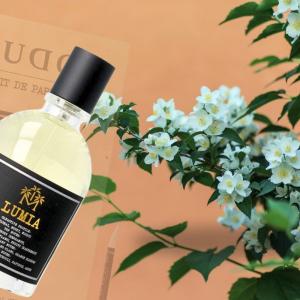 Moudon Lumia EDP For Unisex - 100 ml