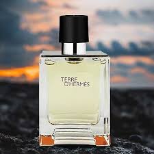 Hermes Terre D'Hermes EDT For Him - 100 ml