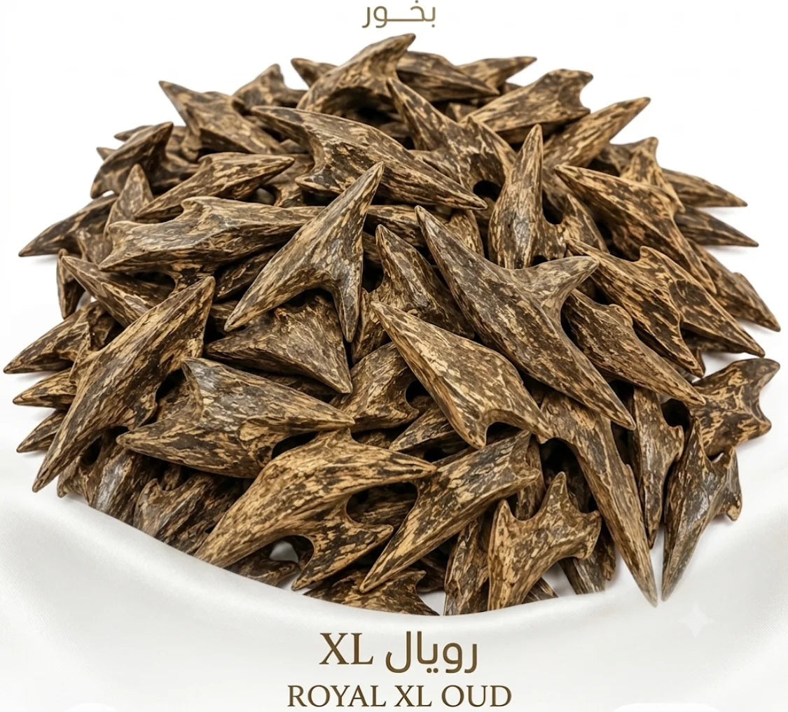Bundle - Rawad Royal XL Incense - 1 Tola + Tong + Lighter