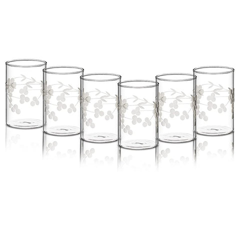 Borosil Berry Vision Glass Tumbler Set of 6 – 350 ml