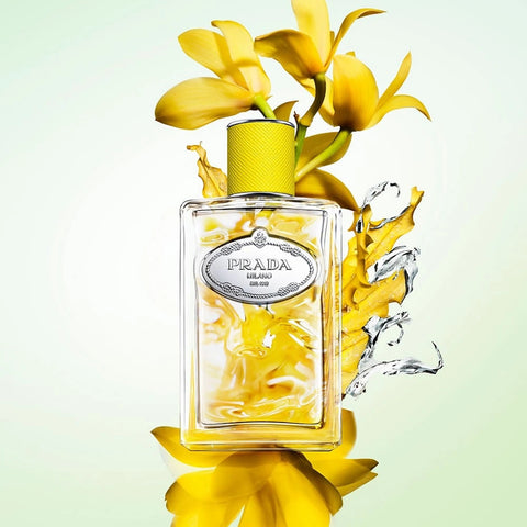 Prada Infusion de Mimosa EDP For Her - 100 Ml