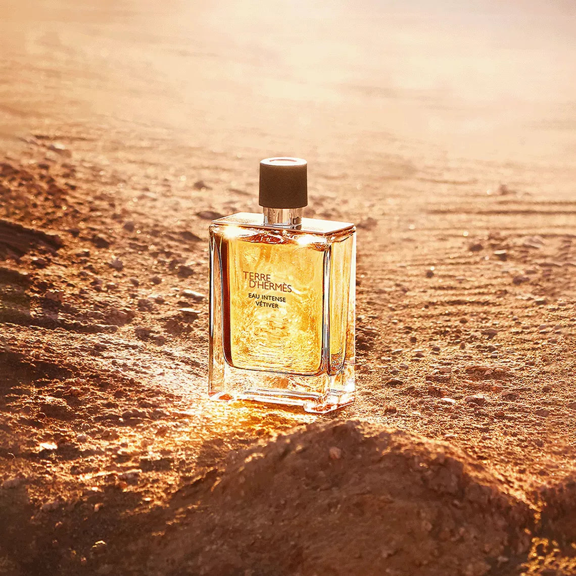 Hermes Terre d Hermes Eau Intense Vetiver EDP For Him - 200 Ml